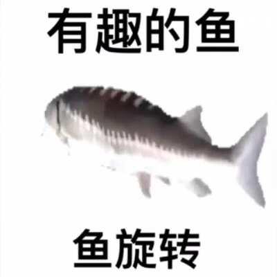 黑魚黑魚
