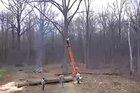 Trimming a tree without a safety harness