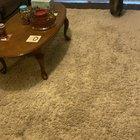 Cat loves chasing her laser