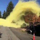 Баян специально для аллергиков.