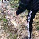 I think the youth of today are better off staying inside on the PlayStation...