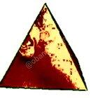 Send this to people. The revolution begins.