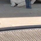 Love-Hate relationship