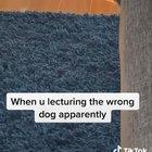 Idk if this is a repost