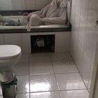 Quem é o purple guy perto desse Coelho mentecapto?