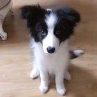 *Instructions Unclear*