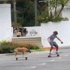 Siempre Facha 😎👌🛐