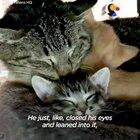 Can’t imagine what that cats been through