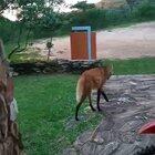 Vídeo da portaria do Parque Nacional da Serra da Canastra, que está sem fluxo de turistas desde a última semana.