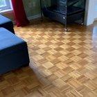 Did she just kick the ball into the box? Meet Messi the ferret!