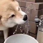 When I'm drinking and my crush looks over