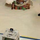 Baby dino on the loose