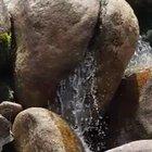 when nature goes wild