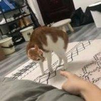 Do you want to fight? okay...another time