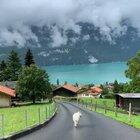 Lake Brienz Switzerland 🇨🇭