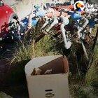 This kind human visits dumpsters every day to pull out abandoned puppies (from The Dodo)