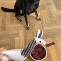 What just happened to him...