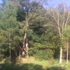 If you dont let go of the zip line