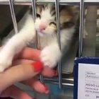 You are the chosen one