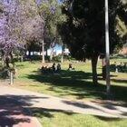 A full on cholo rumble