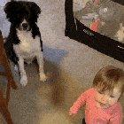 Don't embarrass me in front the dog.