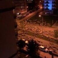 the sheep have started the revolution