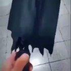 That's a cool umbrella