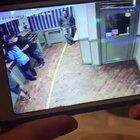 Never cheat on this old bird