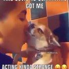 Do I even need a title