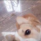 You think you're funny don't you?