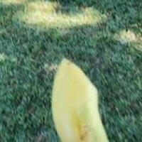 Franklin has no chill