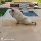 Resolution for 2020: Not Giving a Fudge