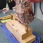 If someone did that to me, I'd be the same.