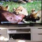 When you realize your whole life was a lie