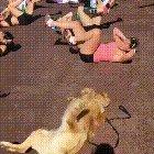 A good boy getting that beach body