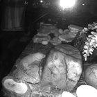 One itchy sheddy boy