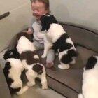 BABY MAULED TO DEATH BY A PACK OF HUNGRY WOLVES