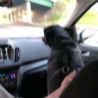 He ducks under the bridges