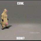 Just How do you do COW? 🤤🤤🙄😲😲😲
