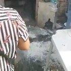 HMFT after the birthday is ruined