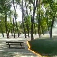 Poplar fluff burning