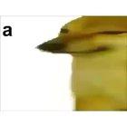 a man has fallen into the river in lego city