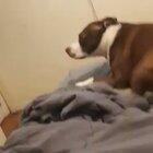 so glad i found this sub ive wanted to show this to people for a while