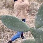 winner of a stupid prize