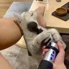 Just wants some massage