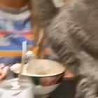 Adding Flavour. (Sound required)