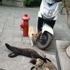 Wait, no it’s not what it looks like.