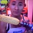 How not to eat a dried corn on the cob