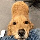 Daisy can make someone's day just by doing this