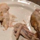 Thanks, I hate Chicken.